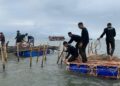 Nilai Transaksi dibalik Pagar Laut Tangerang: Diestimasikan Senilai Rp467 miliar Lebih, Siapa yg salah?