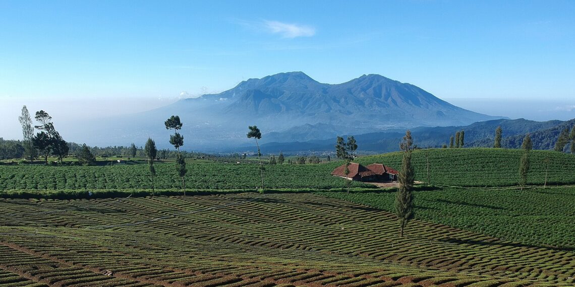 Panduan Libur Lebaran ke Batu Malang: 10 Destinasi Terbaik untuk Keluarga dan Petualang