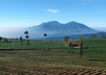 Panduan Libur Lebaran ke Batu Malang: 10 Destinasi Terbaik untuk Keluarga dan Petualang