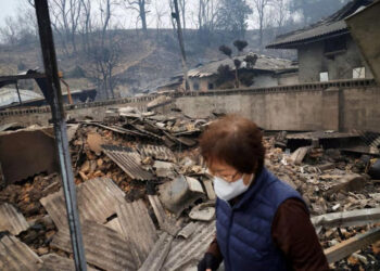 Kebakaran Hutan Terbesar dalam Sejarah Korea Selatan: 26 Orang Tewas