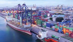 Industri Kelapa Sawit Tetap Jadi Andalan Ekonomi Indonesia di Tengah Larangan Ekspor Mineral