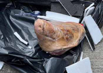 Kantor Tempo Dikirimi Kepala Babi dan Bangkai Tikus, Kasus Dilaporkan ke Bareskrim