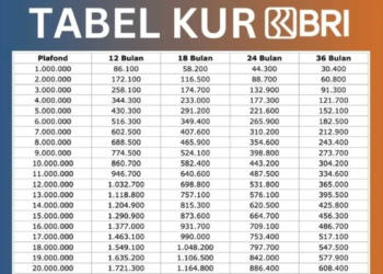 Mengenal Program KUR BRI 2025 dan Cara Pengajuannya