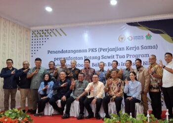 Kemenperin Dorong Hilirisasi Sawit, Petani Serdang Bedagai Manfaatkan Nira untuk Gula Merah