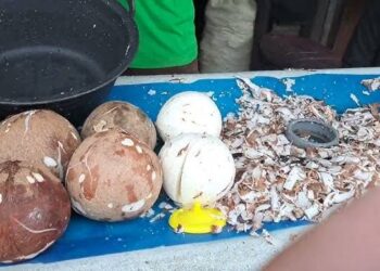 Gila! Harga Kelapa Parut di Pasar Tembus Rp 25.000, Pedagang Teriak