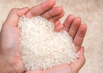 Bisnis Beras Indonesia Moncer, Emiten HOKI dan NASI Diuntungkan