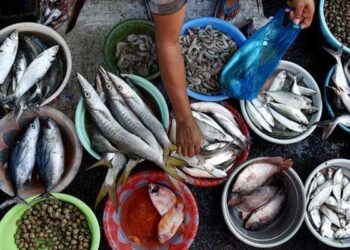 Kenapa Bangkai Ikan Halal Meskipun Sudah Mati?