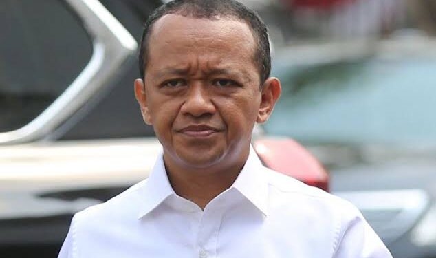 Dinamika Investasi Proyek Baterai EV: LG Mundur, Pemerintah Pastikan Tidak Ganggu Rencana Awal