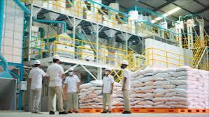 Bulog Pastikan Penyerapan Gabah Tetap Berjalan Selama Libur Lebaran 2025