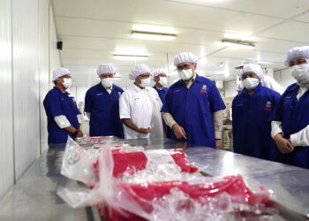 Mendag Lepas Ekspor Tuna ke Uni Emirat Arab Senilai Rp1,87 Miliar dari Padang