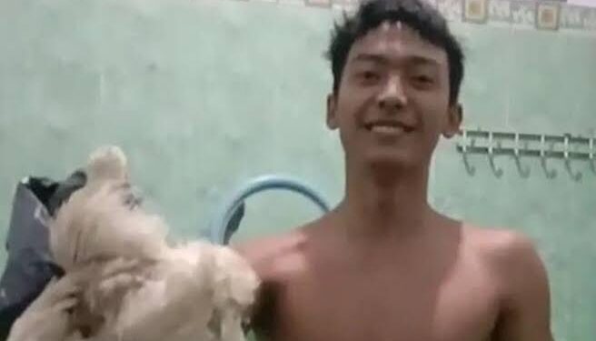 Ini yang Terjadi pada Tubuh saat Makan Ayam Tiren