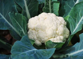 Lima Sayuran Terbaik untuk Kesehatan Jantung Menurut Ahli Bedah Jantung