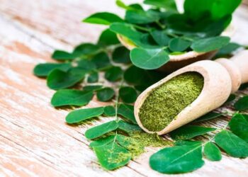 Tak Hanya Susu, 3 Daun Herbal Ini Juga Bisa Perkuat Tulang