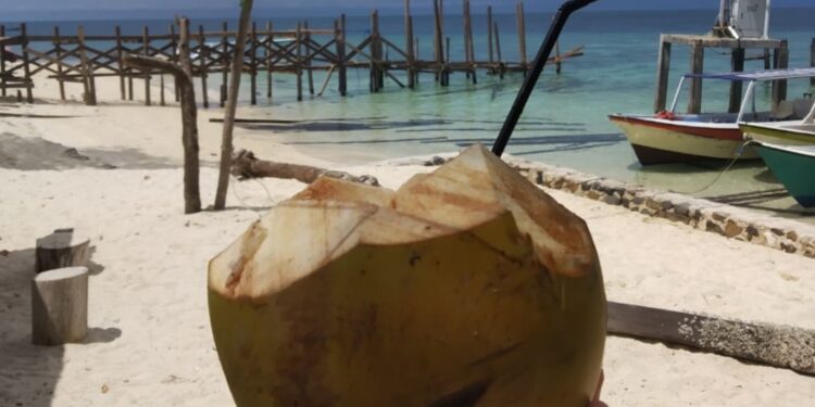 Benarkah Minum Air Kelapa Bisa Turunkan Gula Darah? Ini Faktanya