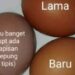 Fakta Ilmiah Cara Bedakan Telur Lama Dengan Telur Baru