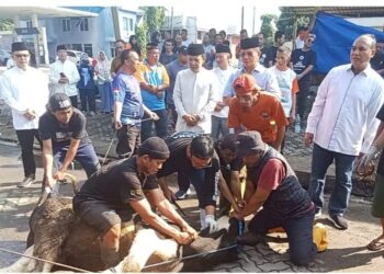Dishub DKI Jakarta Salurkan 52 Hewan Kurban di Hari Raya Idul Adha 1446 H