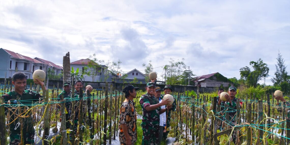 Dandim 1710/Mimika Tinjau Ketahanan Pangan Di Lahan Percontohan Petani Binaan