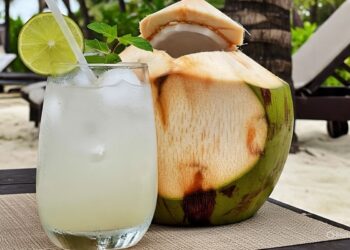 Benarkah Air Kelapa Bisa Hancurkan Batu Ginjal