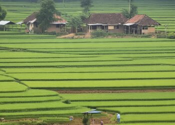 Daftar Transmigrasi Dibuka, Ini Syarat dan Lokasinya
