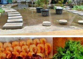 Beberapa Rekomendasi Wisata Kuliner di Serang Banten yang Wajib Dikunjungi, Diantaranya Bernuansa Alam 