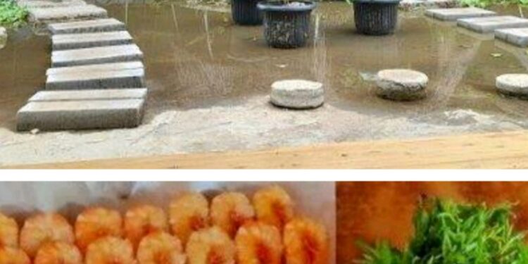 Beberapa Rekomendasi Wisata Kuliner di Serang Banten yang Wajib Dikunjungi, Diantaranya Bernuansa Alam 