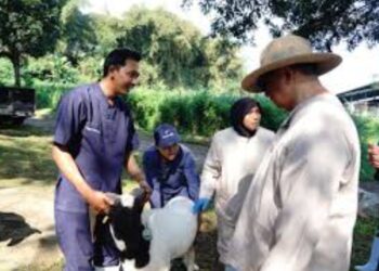 Menjelang Idul Adha, Bupati Garut Tinjau Kesehatan Hewan Kurban