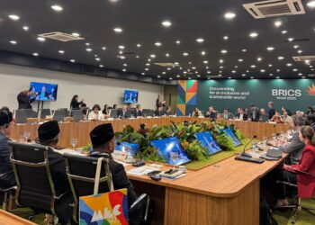 AI dan Pendidikan Jadi Sorotan Indonesia di Forum Pendidikan BRICS