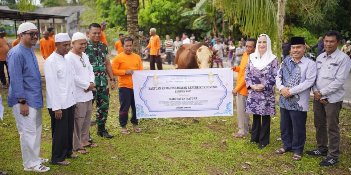 1,4 Ton Sapi Kurban Presiden Prabowo Dinikmati Masyarakat Kabupaten Natuna