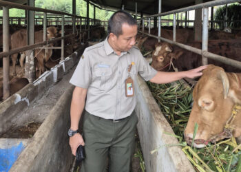 Kesejahteraan Hewan Jadi Fokus Utama Kurban Nasional 2025