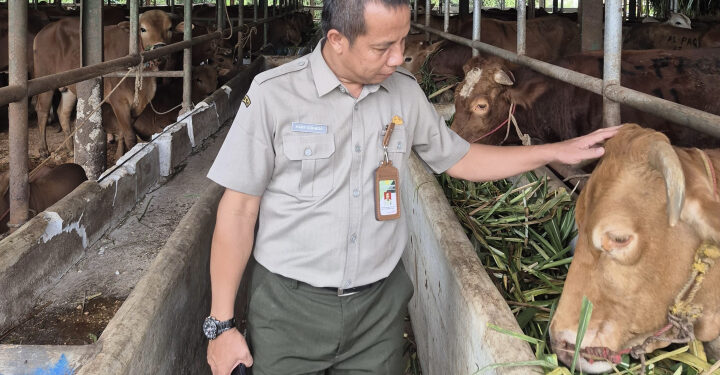 Kesejahteraan Hewan Jadi Fokus Utama Kurban Nasional 2025