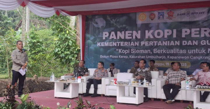 Kopi Sleman Siap Tembus Dunia Lewat Agrowisata dan Industri