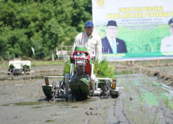 Sinergi Kementan dan Daerah Bangkitkan Swasembada Pangan
