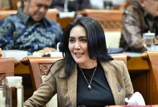 Rieke Pitaloka Kritik Kepmendagri Serahkan Pulau Aceh ke Sumut