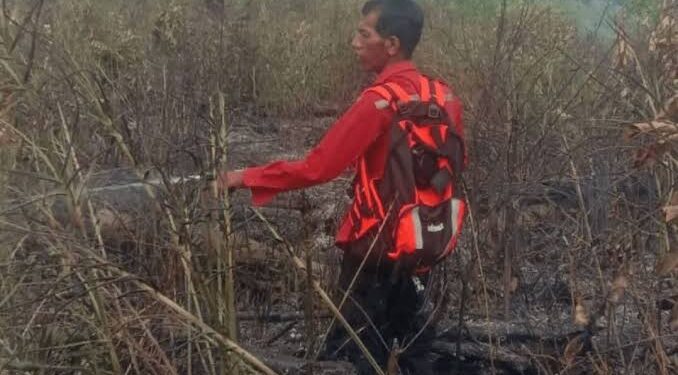 Larangan Pembakaran Lahan Ditegaskan BPBD Penajam