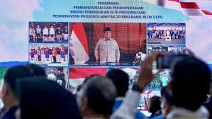 Presiden Tegaskan Listrik Wajib Masuk Desa