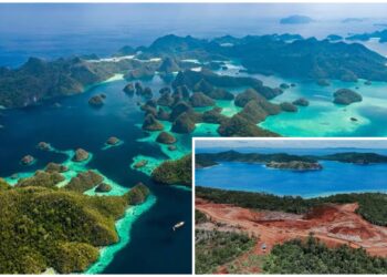 Perbandingan Pulau Raja Ampat sebelum dan sesudah tambang nikel, terlihat hutan alami berubah menjadi lahan terbuka akibat aktivitas pertambangan.