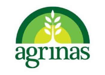 Agrinas Hadapi Tantangan Besar Kelola 800 Ribu Hektar Sawit Sitaan