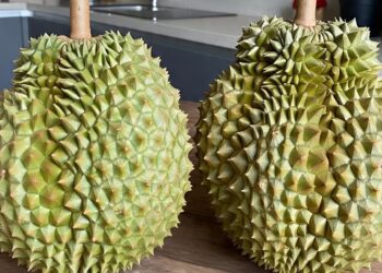 Kandungan Durian Bantu Jantung dan Pencernaan