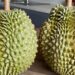 Kandungan Durian Bantu Jantung dan Pencernaan