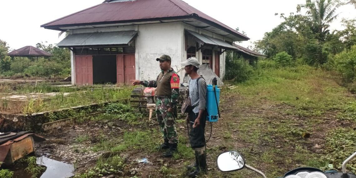 Babinsa Koramil 1710-03/Kuala Kencana Laksanakan Pendampingan Pertanian Di Wilayah Binaan