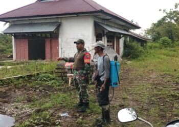 Babinsa Koramil 1710-03/Kuala Kencana Laksanakan Pendampingan Pertanian Di Wilayah Binaan