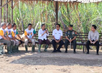 Panglima TNI Kawal Langsung Panen Tebu Untuk Swasembada Gula Nasional