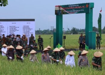 TNI Wujudkan Aksi Nyata, Dukung Ketahanan Pangan Nasional