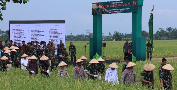 TNI Wujudkan Aksi Nyata, Dukung Ketahanan Pangan Nasional