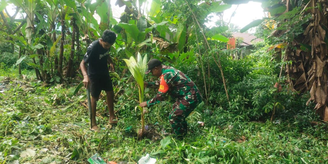 Satgas TMMD 125 Kodim 1506/Namlea Melaksanakan Tanam Bibit Pohon Keras Dengan Target 10.000 Pohon