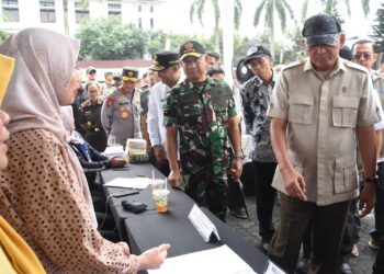 Sinergi TNI-Bulog Perkuat Ketahanan Pangan dan Kendalikan Harga