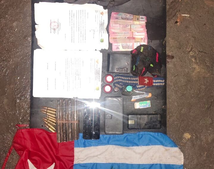 Satgas Gabungan TNI Lumpuhkan Dua Anggota OPM dan Amankan Dokumen Penting