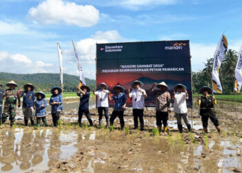 Sekolah Lapang Petani Perkuat Ekosistem Padi di Selatan Jabar