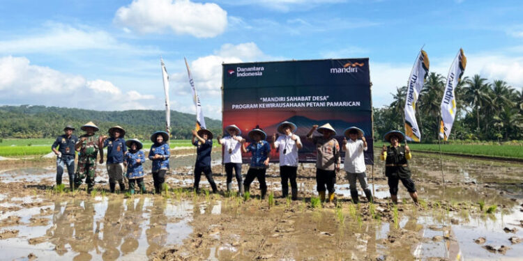 Sekolah Lapang Petani Perkuat Ekosistem Padi di Selatan Jabar