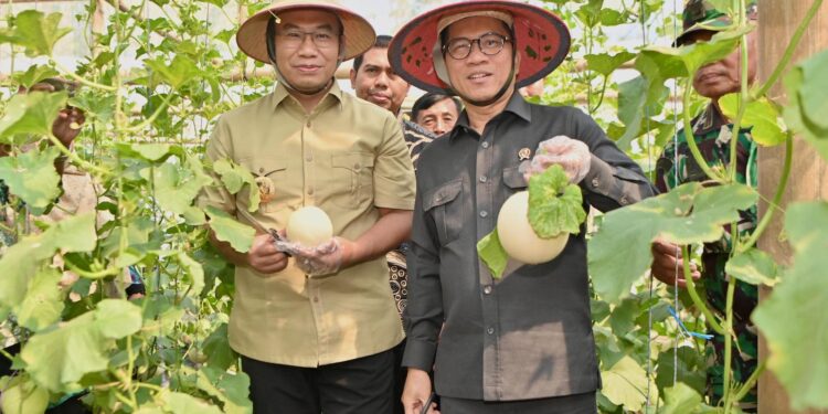 Dana Desa Sragen Berbuah Panen dan Agrowisata Mandiri